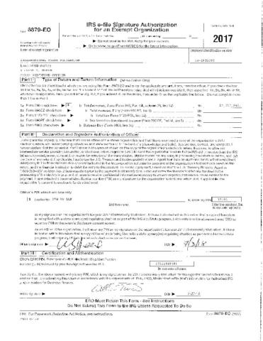 2017 IYF Form 990 cover